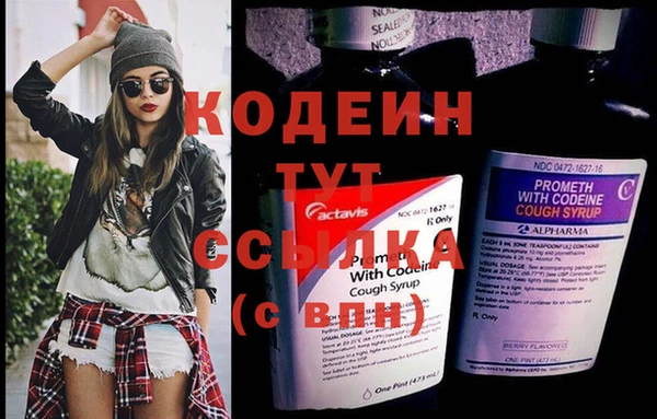 сатива Осташков