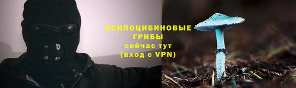 кокс Осинники