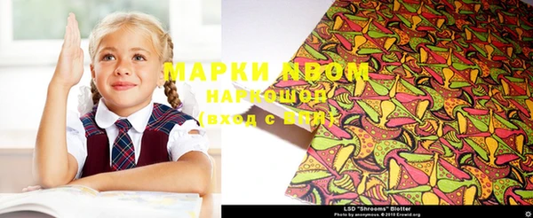 ГАЛЛЮЦИНОГЕННЫЕ ГРИБЫ Заполярный