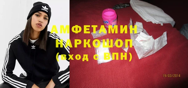 сатива Осташков